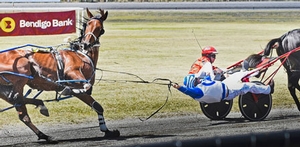 Suspended by Jenny Pollard - Winner of 2017 Photo of Year Award