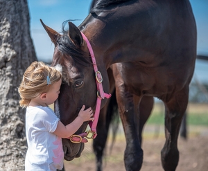 The Gentle Giant - Ashlea Brennan Photography 