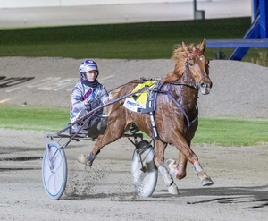 Locksley Lover - G1 Winner out of Elusive Charm