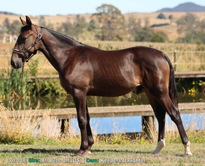 Lot 108: Sire: All Bets Off (US) | Dam: Keepers Daughter