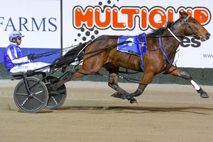 Pinseeker NZ - Photo Club Menangle