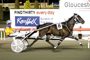 Im Themightyquinn - 2012 Australian Harness Horse of the Year