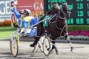 Im Themightyquinn NZ - 2013 Australian Harness Horse of the Year